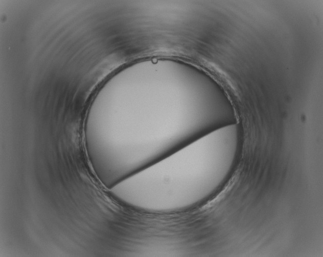 X0000088681170200705311016
