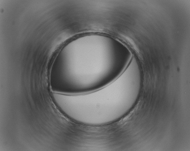 X0000088681172200705311016