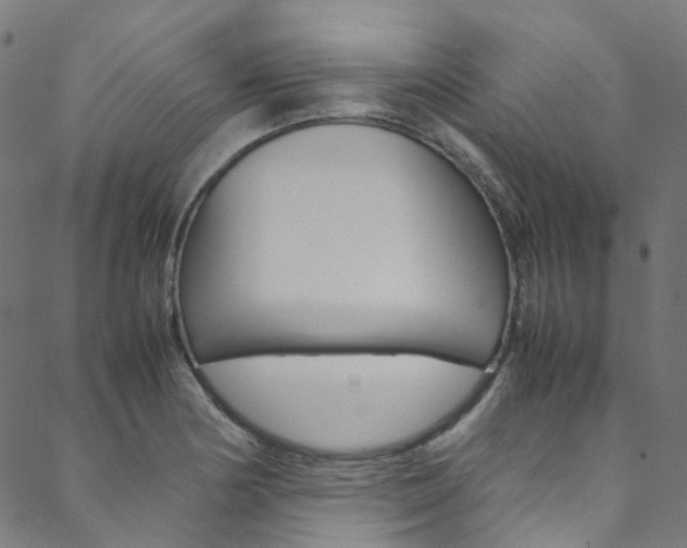 X0000088681178200705311016