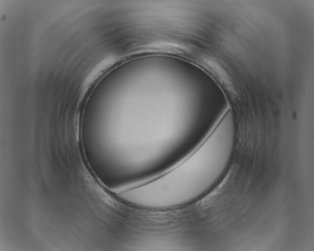 X0000088681180200705311016