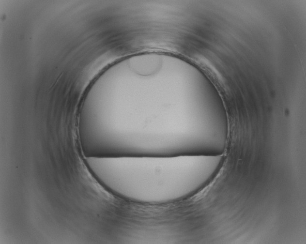 X0000088681182200705311016
