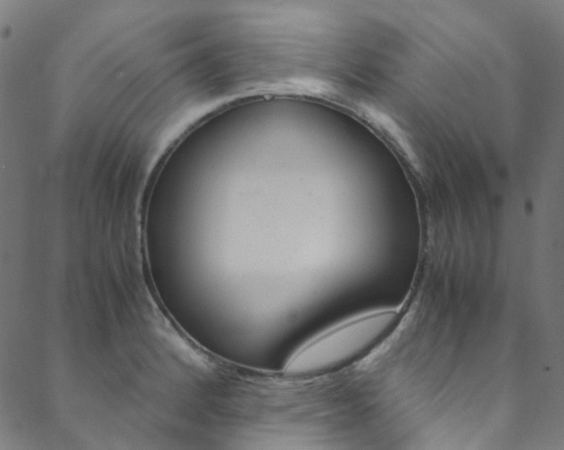 X0000088681184200705311016