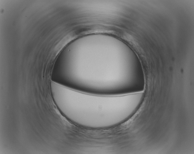 X0000088681185200705311016