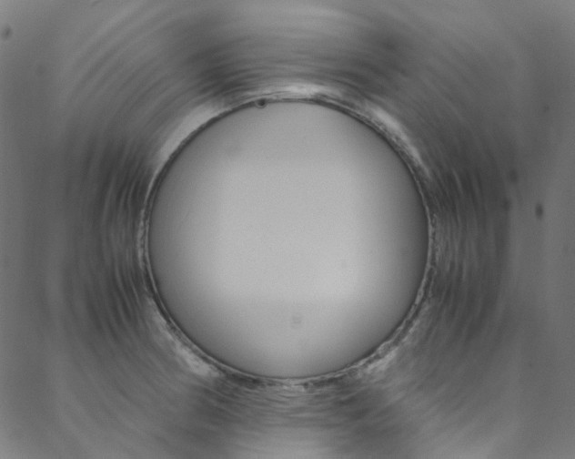 X0000088681186200705311016