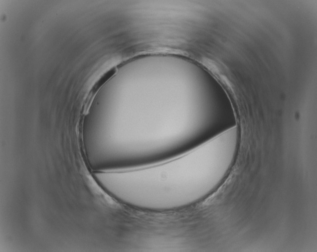 X0000088681189200705311016