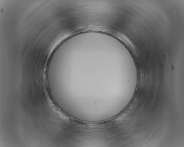 X0000088681190200705311016