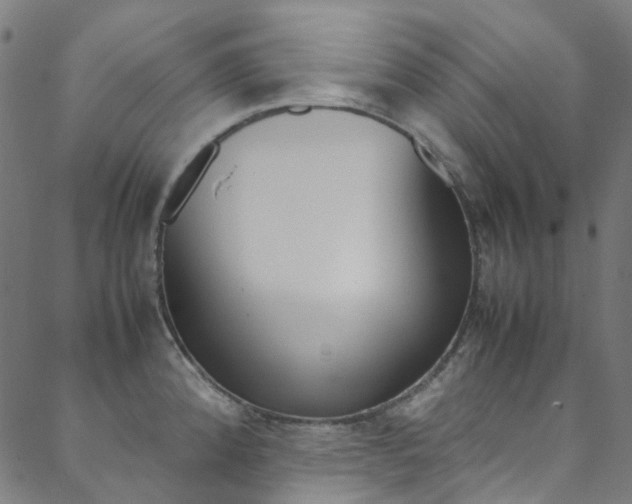 X0000088681192200705311016