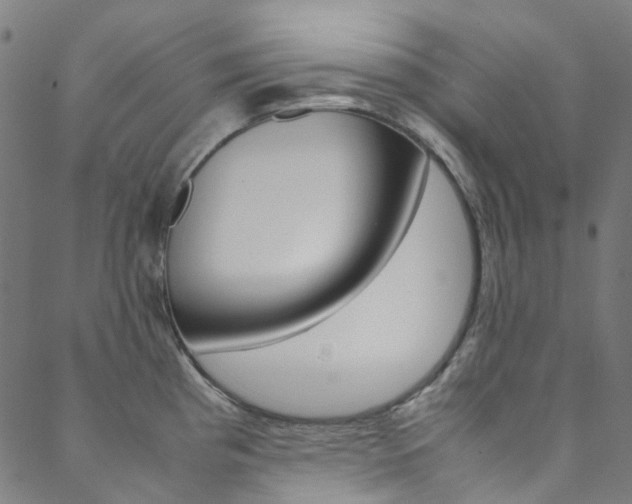 X0000088681193200705311016