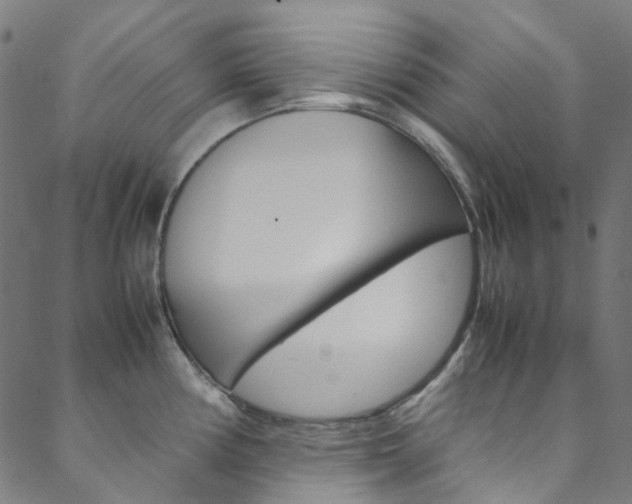 X0000088681194200705311016