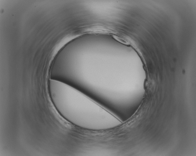 X0000088681195200705311016