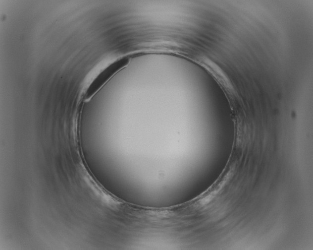 X0000088681196200705311016