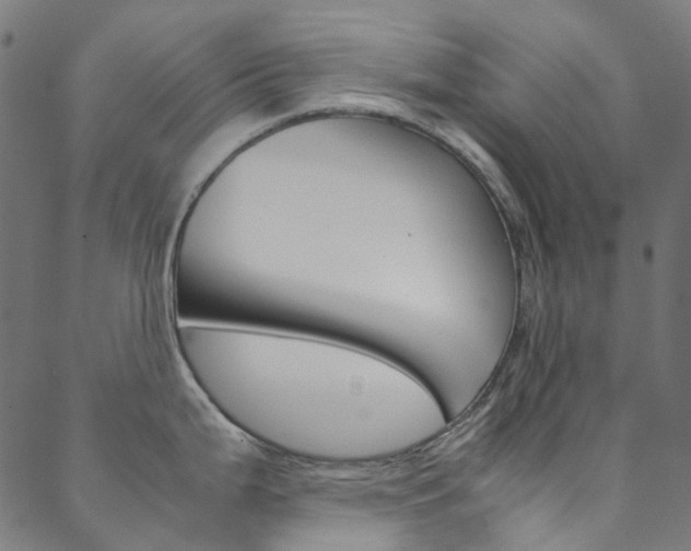 X0000088681199200705311016