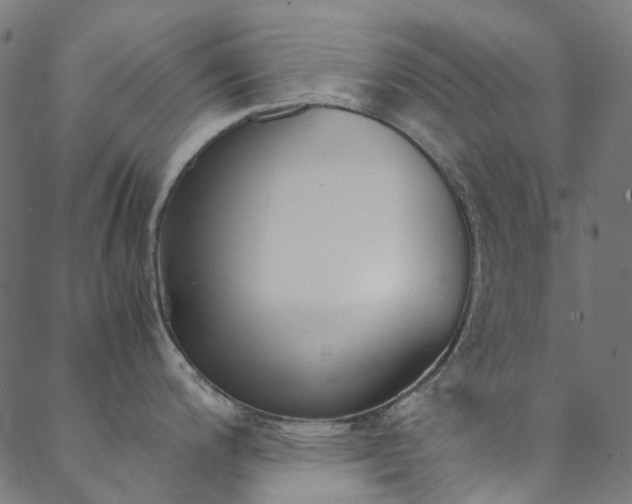 X0000088681200200705311016