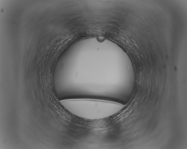 X0000088681201200705311015