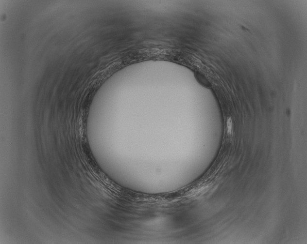 X0000088681203200705311015