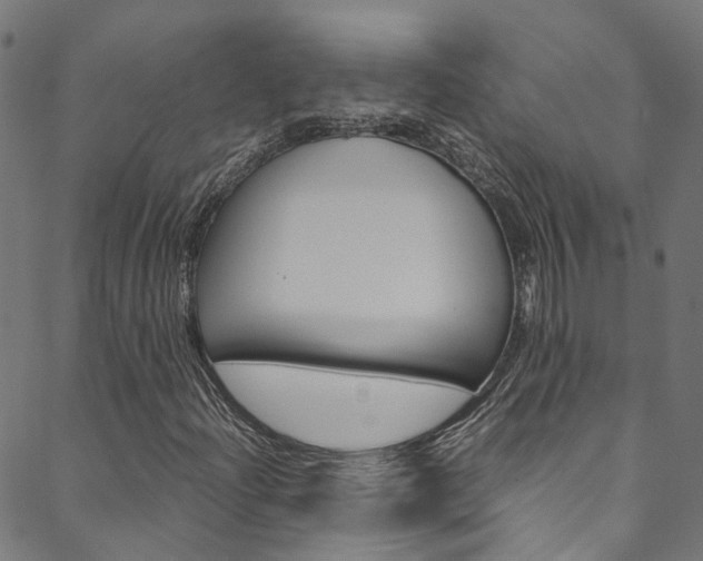 X0000088681204200705311015