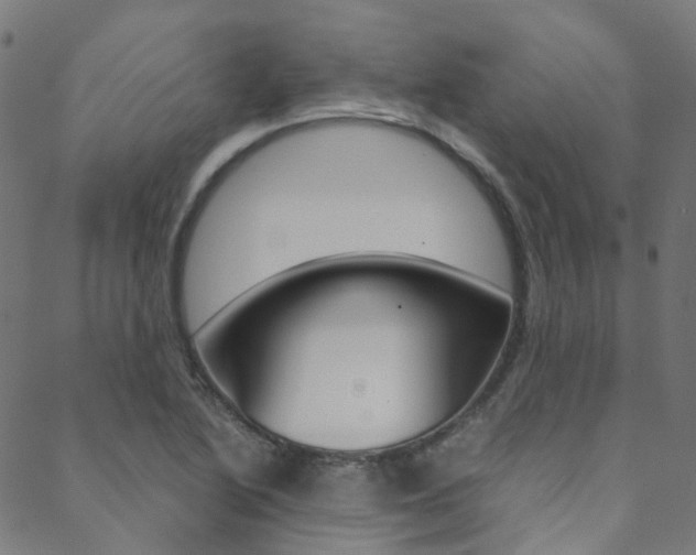 X0000088681222200705311015
