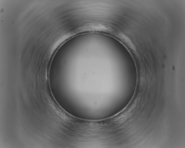 X0000088681226200705311015