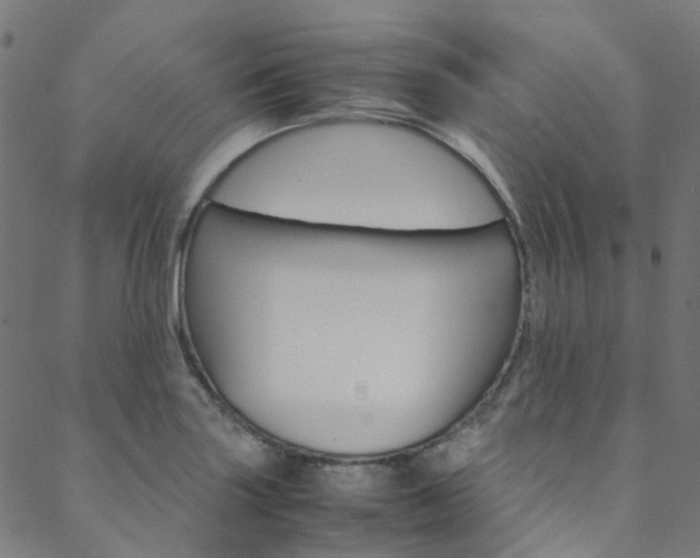X0000088681227200705311015
