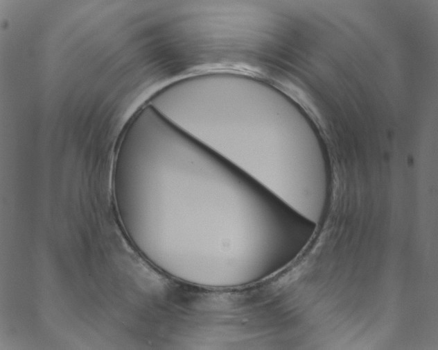 X0000088681228200705311015
