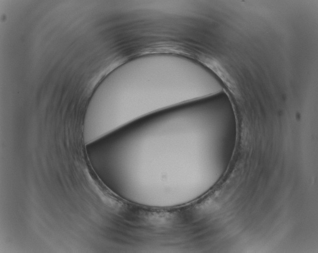 X0000088681233200705311015