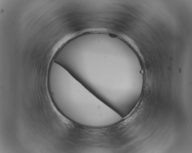 X0000088681245200705311016