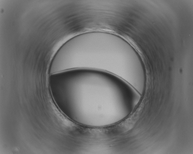 X0000088681246200705311016