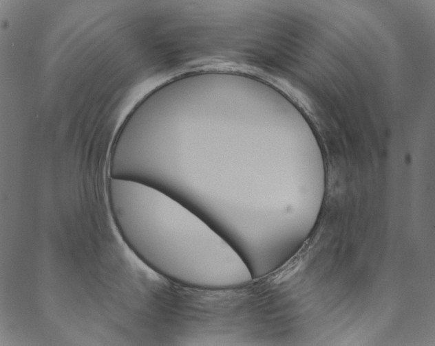 X0000088681247200705311016