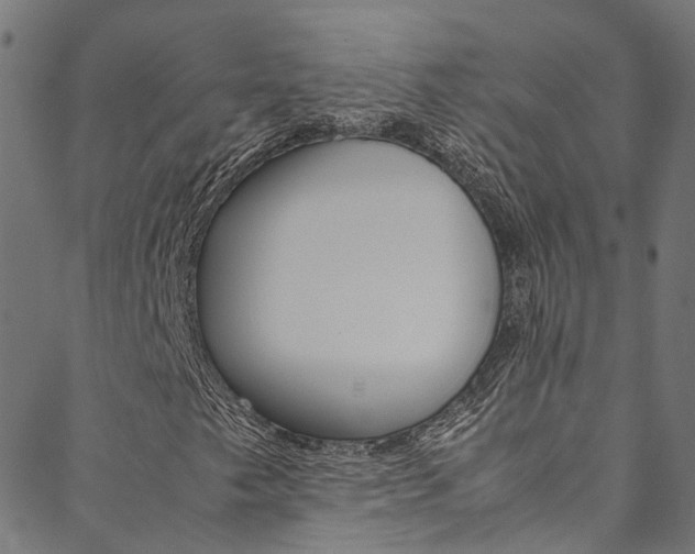 X0000088681249200705311015