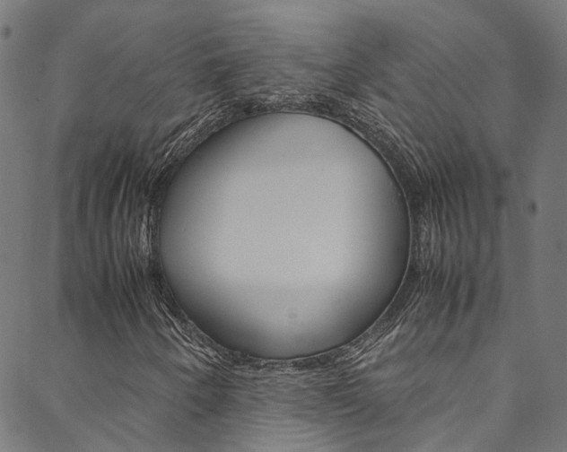 X0000088681250200705311015