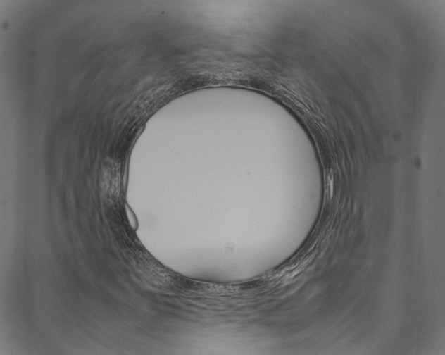 X0000088681251200705311015