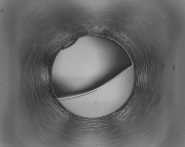 X0000088681252200705311015