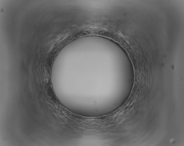 X0000088681253200705311015