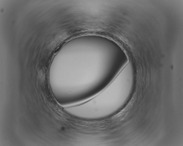 X0000088681257200705311015