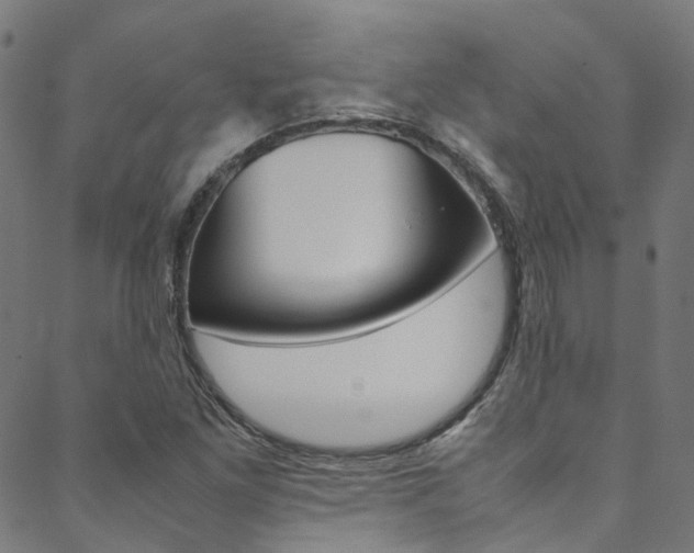 X0000088681261200705311015