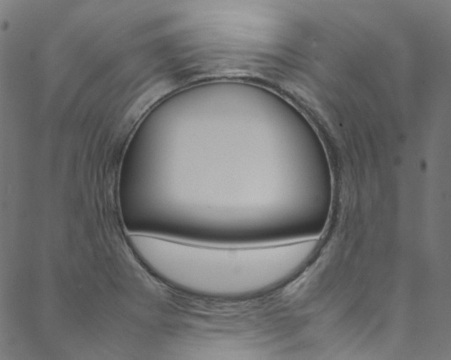 X0000088681273200705311015