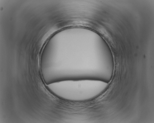 X0000088681275200705311014