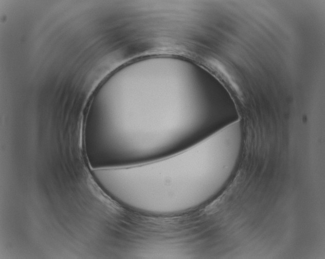 X0000088681276200705311014