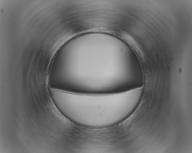 X0000088681284200705311014