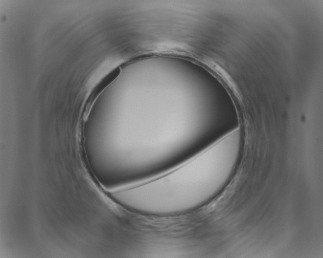 X0000088681285200705311014