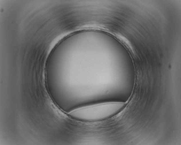 X0000088681288200705311014