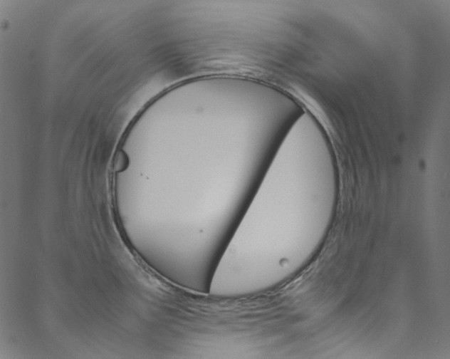 X0000088681291200705311014