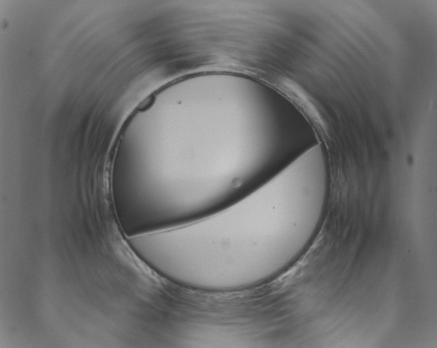 X0000088681292200705311014