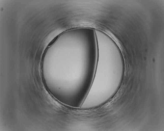 X0000088681293200705311014