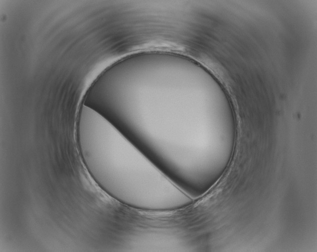 X0000088681296200705311014
