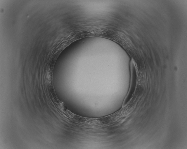 X0000088681298200705311013