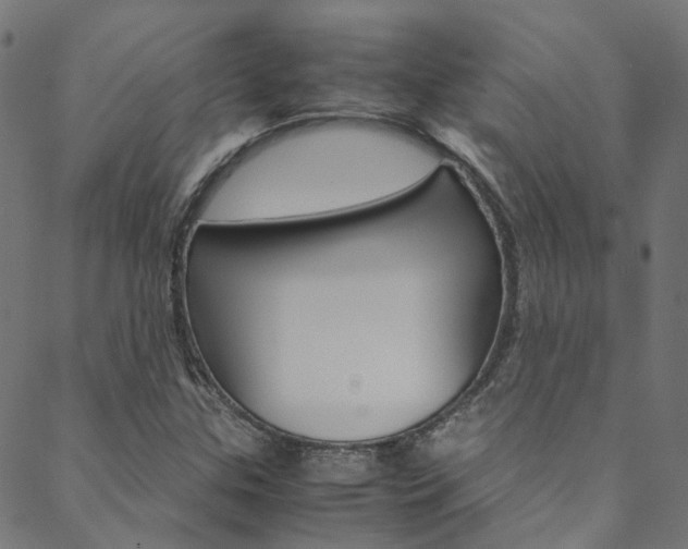 X0000088681307200705311014