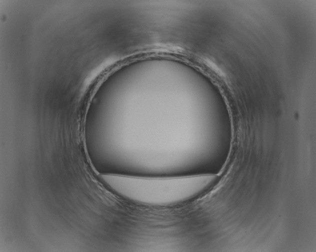 X0000088681310200705311014