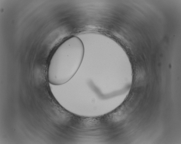X0000088681314200705311014
