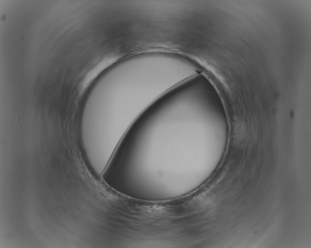 X0000088681317200705311014
